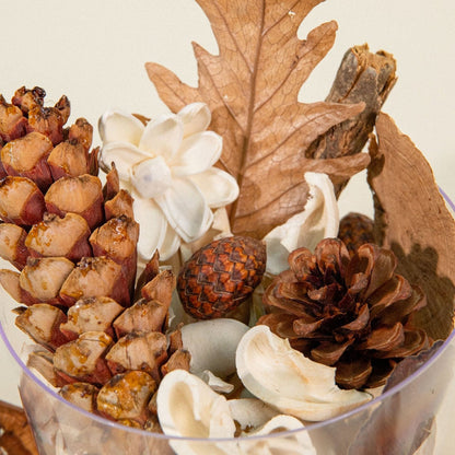 Fall Garden Potpourri